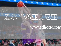 愛爾蘭VS亞美尼亞
