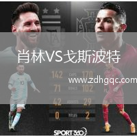 肖林VS戈斯波特