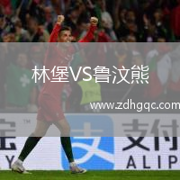 林堡VS魯汶熊