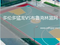 多倫多猛龍VS布魯克林籃網(wǎng)