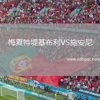 梅夏特堤基布利VS施安尼