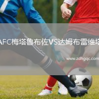 AFC梅塔魯布佐VS達(dá)姆布雷維塔