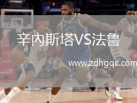辛內斯塔VS法魯