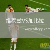 維泰茲VS加比拉