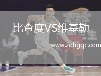 比查度VS維基勒