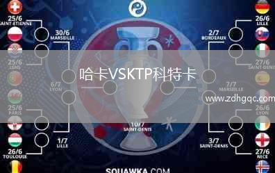 哈卡VSKTP科特卡