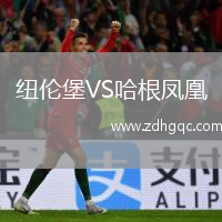 紐倫堡VS哈根鳳凰