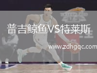 普吉鯨魚VS特萊斯