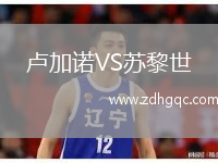 盧加諾VS蘇黎世