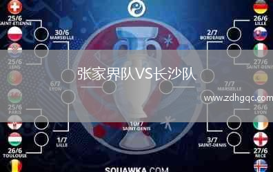 張家界隊(duì)VS長(zhǎng)沙隊(duì)