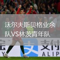 沃爾夫斯貝格業(yè)余隊(duì)VS林茨青年隊(duì)