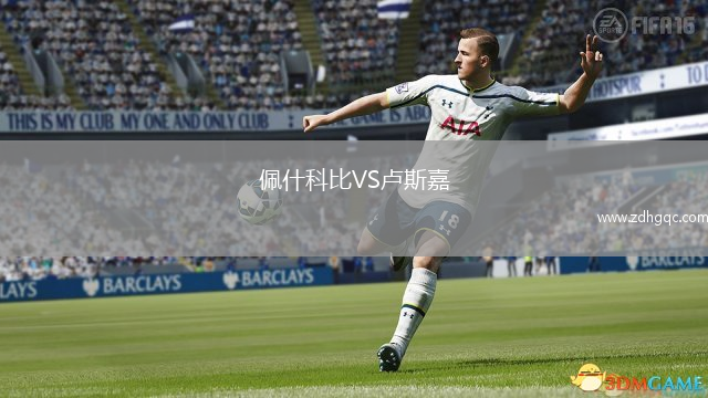 佩什科比VS盧斯嘉