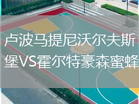 盧波馬提尼沃爾夫斯堡VS霍爾特豪森蜜蜂