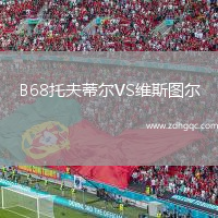 B68托夫蒂爾VS維斯圖爾