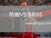 蒂嫩VS澤勒特