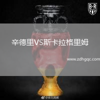 辛德里VS斯卡拉格里姆