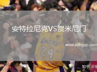 安特拉尼克VS賀米尼門