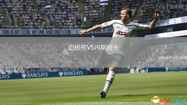 巴根熊VS內(nèi)斯提夫