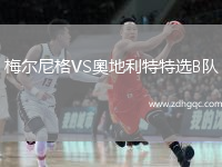 梅爾尼格VS奧地利特特選B隊(duì)