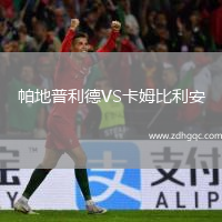 帕地普利德VS卡姆比利安