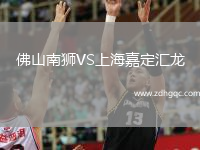 佛山南獅VS上海嘉定匯龍