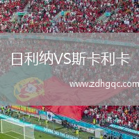 日利納VS斯卡利卡