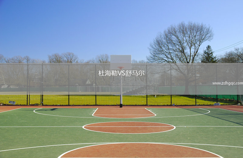 杜海勒VS舒馬爾