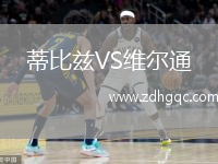 蒂比茲VS維爾通