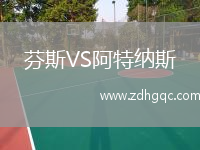 芬斯VS阿特納斯