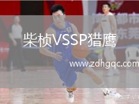 柴楨VSSP獵鷹