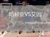 哈利亞VS艾因