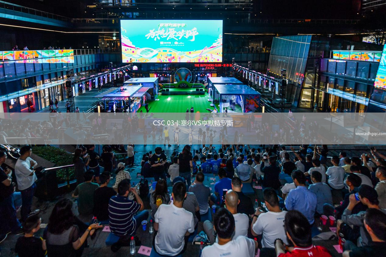 CSC 03卡塞爾VS亨默特羅斯