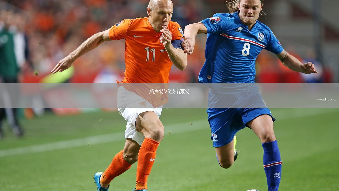 斯克特VS波格豪特