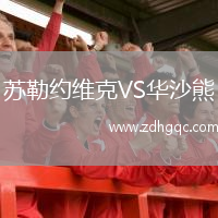 蘇勒約維克VS華沙熊