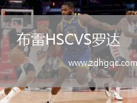 布雷HSCVS羅達(dá)