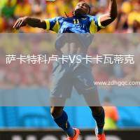 薩卡特科盧卡VS卡卡瓦蒂克
