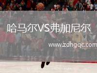 哈馬爾VS弗加尼爾