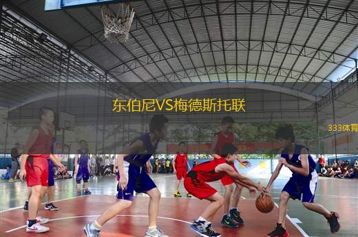 克林斯馬VS維也納利尼恩