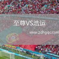 至尊VS浩運