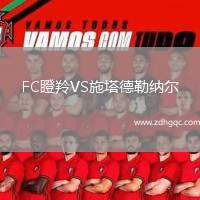 FC瞪羚VS施塔德勒納爾