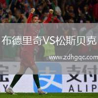 布德里奇VS松斯貝克