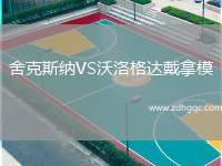 舍克斯納VS沃洛格達(dá)戴拿模