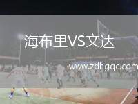 海布里VS文達(dá)