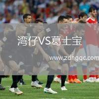 灣仔VS葛士寶