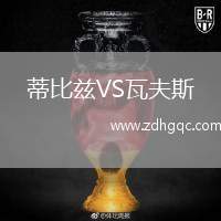 蒂比茲VS瓦夫斯