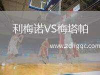 利梅諾VS梅塔帕