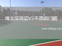 博戈塔海盜VS平原凱門鱷