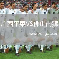 廣西平果VS佛山南獅