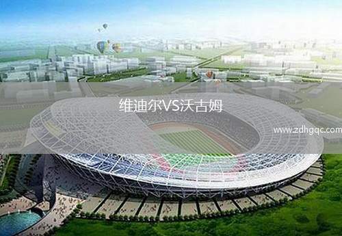 維迪爾VS沃古姆