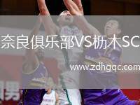 奈良俱樂部VS櫪木SC